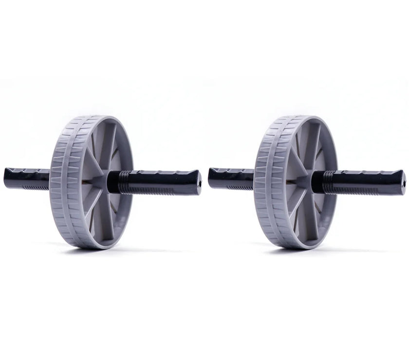 Pair of gray ab wheels on a white background