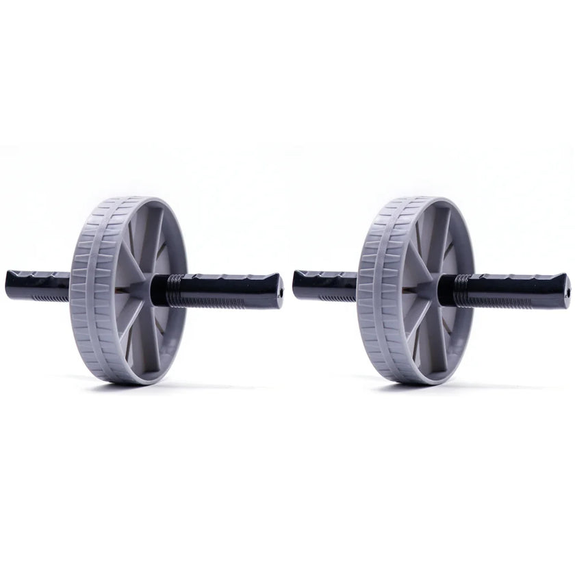 Pair of gray ab wheels on a white background