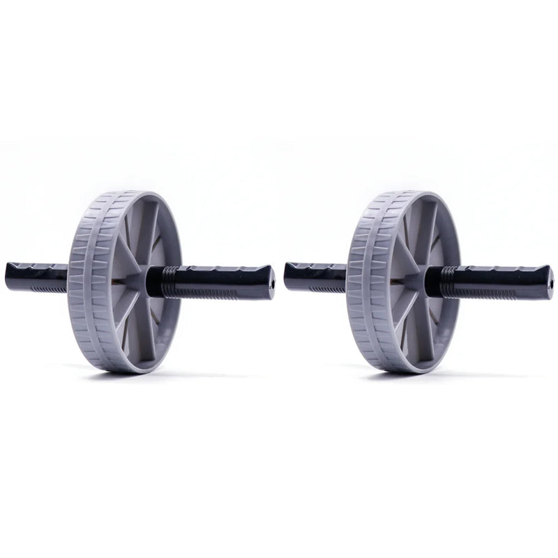 Pair of gray ab wheels on a white background
