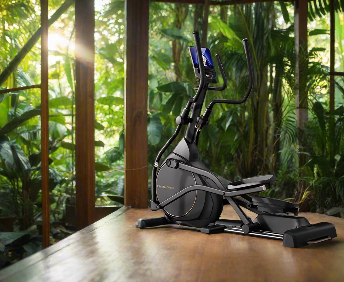 elliptcal machine at the jungle