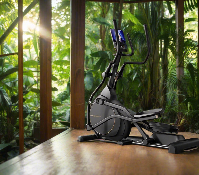 elliptcal machine at the jungle