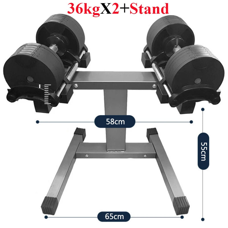 Dumbbell stand with two dumbbells and measurements on a white background